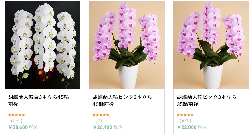 はなまろで人気の胡蝶蘭の画像
