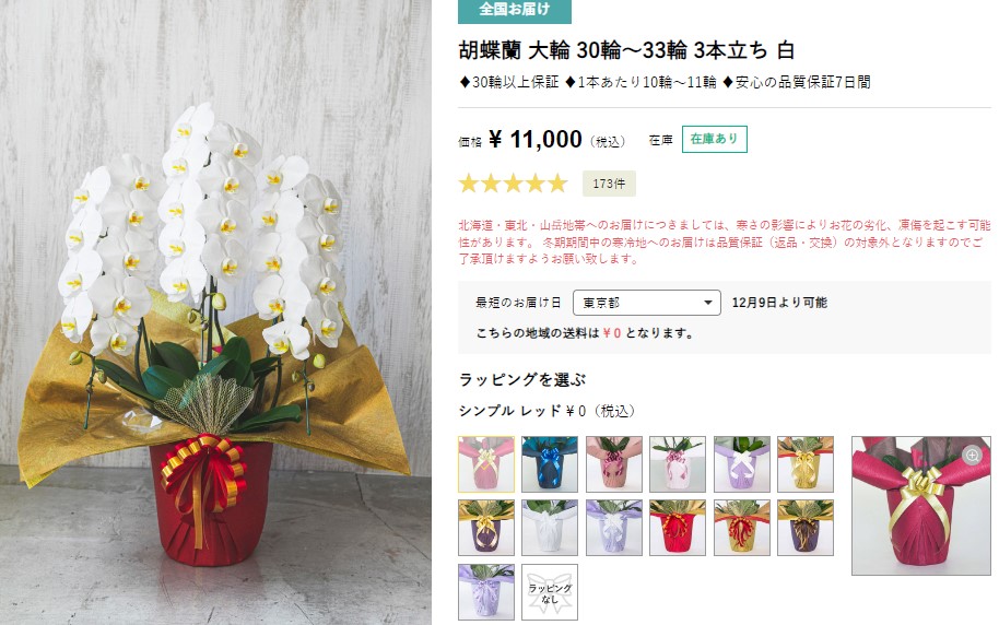 ハナプライムの大輪胡蝶蘭1万円