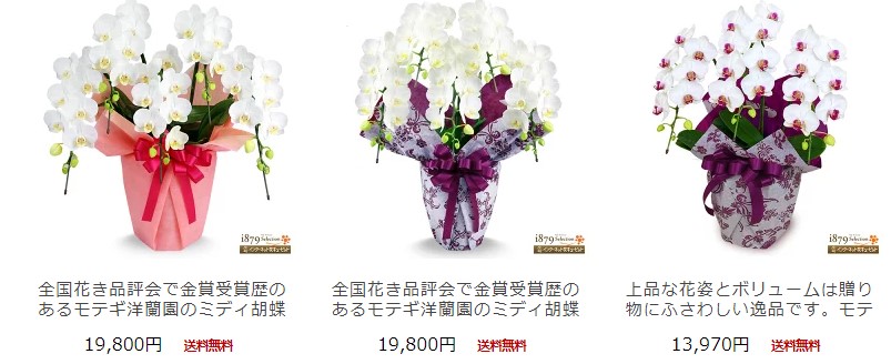 花キューピット モテギ洋蘭園の胡蝶蘭