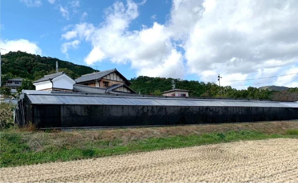 奈良農場