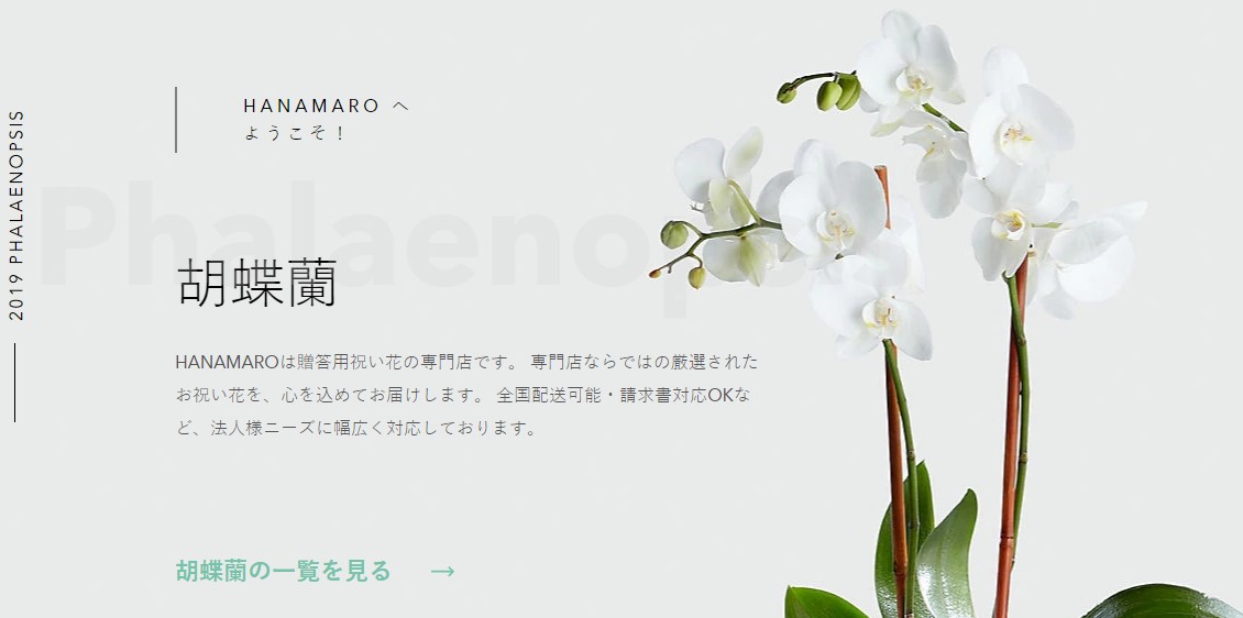 hanamaroホームページTOPの画像